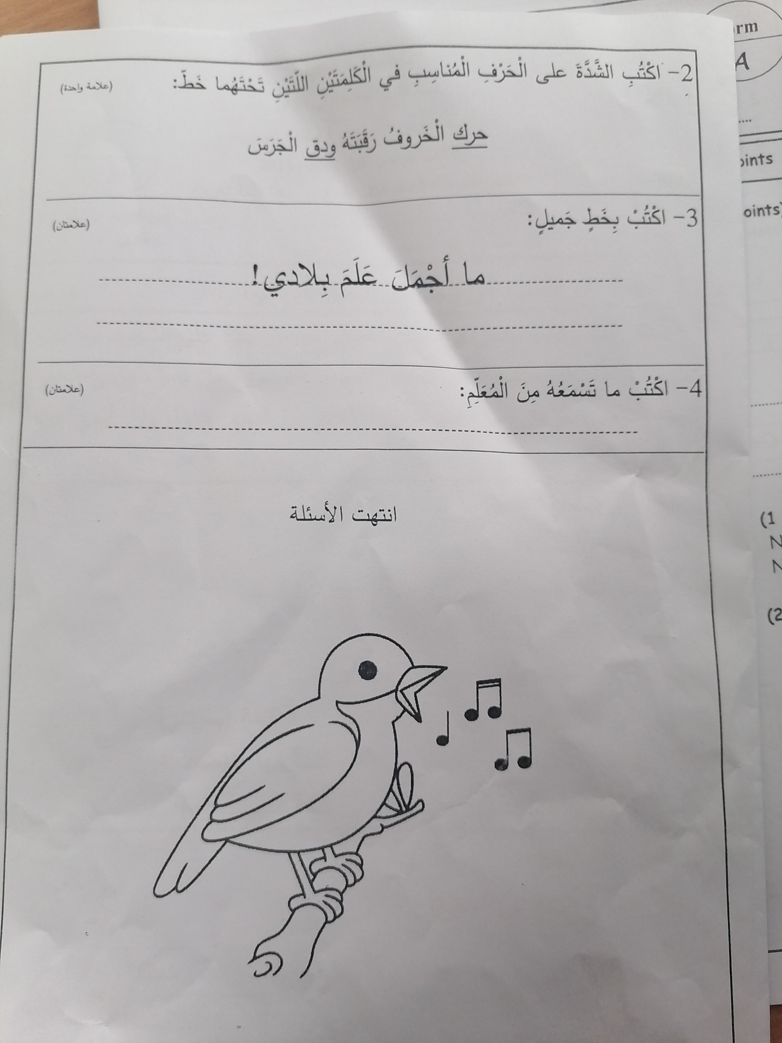 NTI4NTAuOTg0OTQ3 بالصور امتحان اللغة العربية النهائي للصف الثاني الفصل الاول 2023 نموذج A وكالة